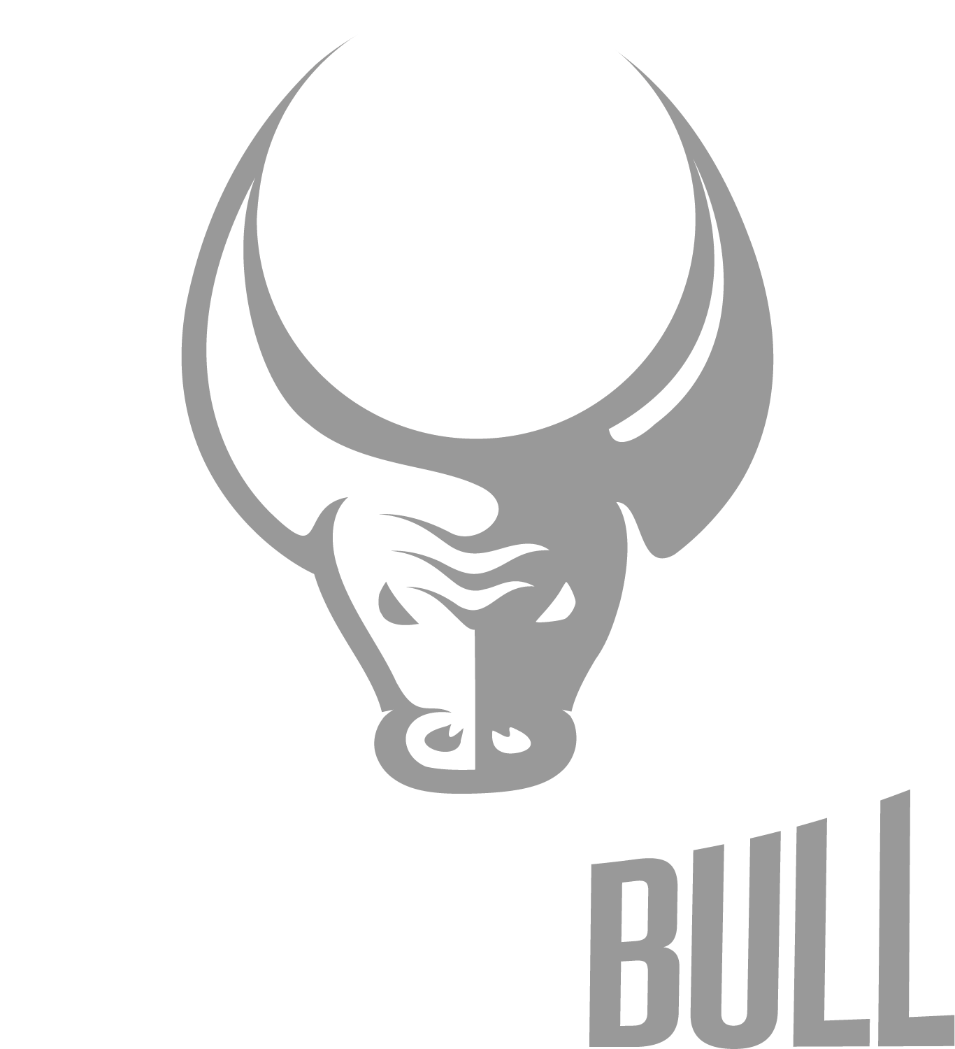 Basketbull Logo