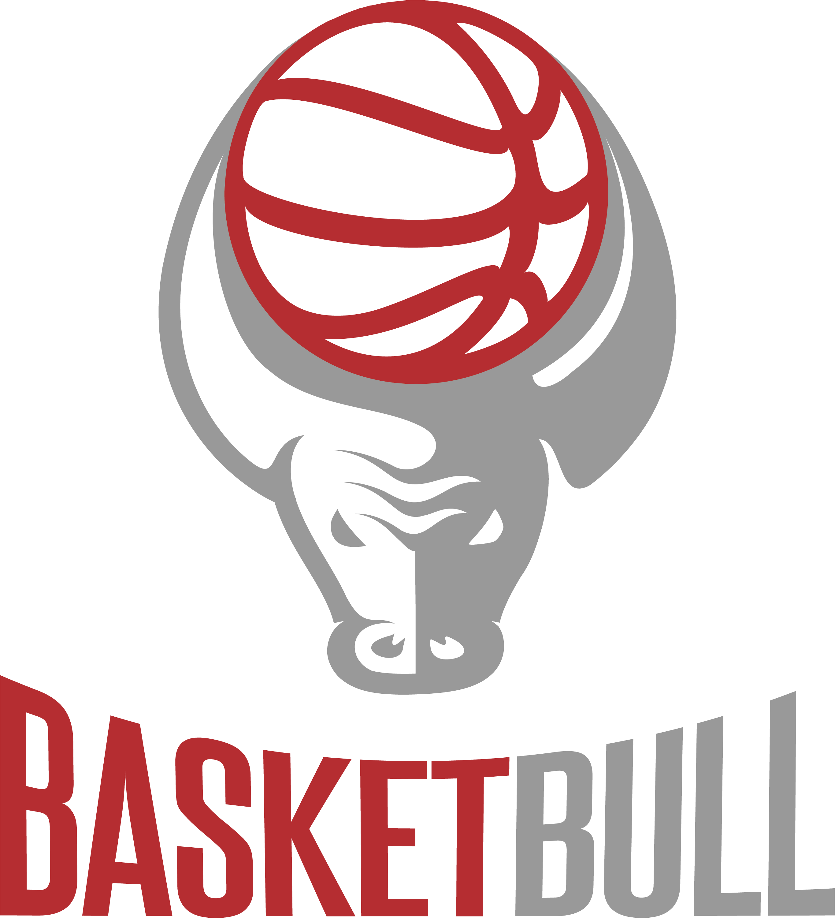 Basketbull_Primary_Full Color