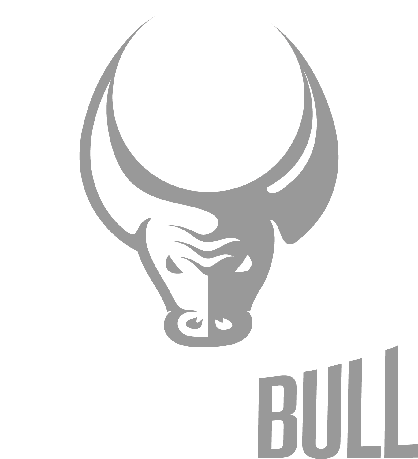 Basketbull_Primary_White Color